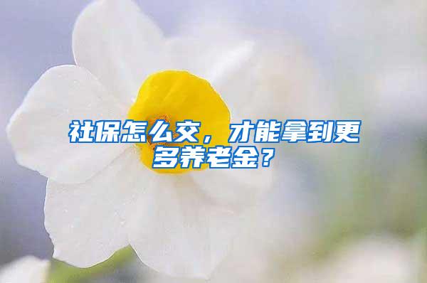 社保怎么交，才能拿到更多养老金？