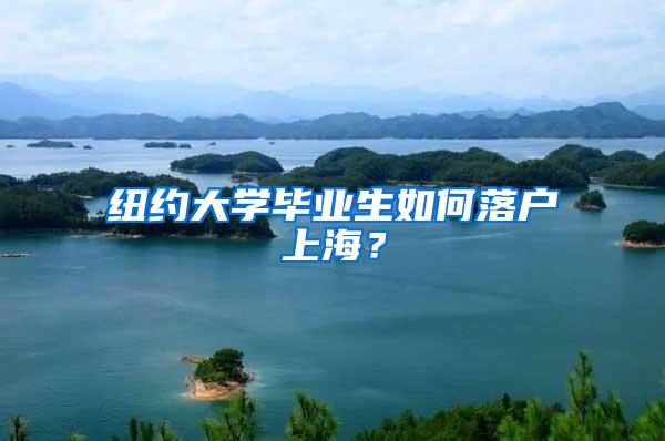 纽约大学毕业生如何落户上海？