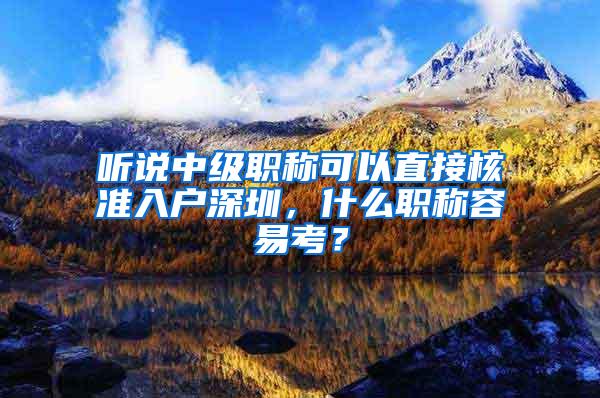 听说中级职称可以直接核准入户深圳，什么职称容易考？