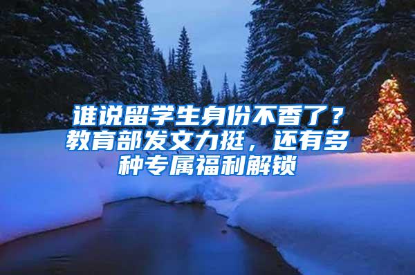 谁说留学生身份不香了？教育部发文力挺，还有多种专属福利解锁