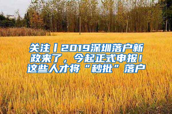 关注丨2019深圳落户新政来了，今起正式申报！这些人才将“秒批”落户