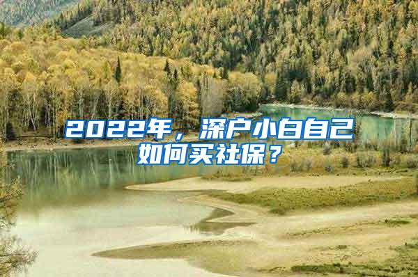 2022年，深户小白自己如何买社保？