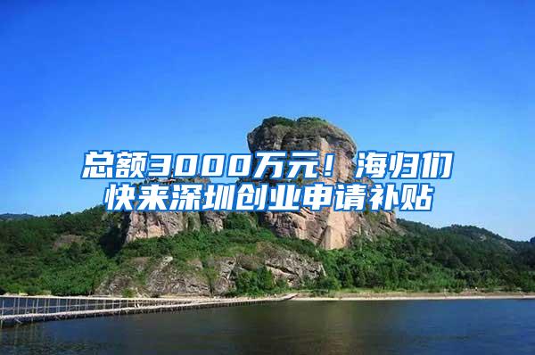 总额3000万元！海归们快来深圳创业申请补贴