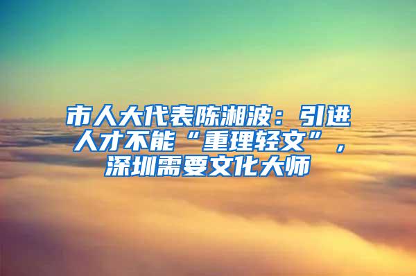 市人大代表陈湘波：引进人才不能“重理轻文”，深圳需要文化大师