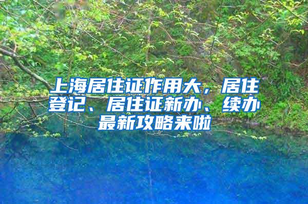 上海居住证作用大，居住登记、居住证新办、续办最新攻略来啦