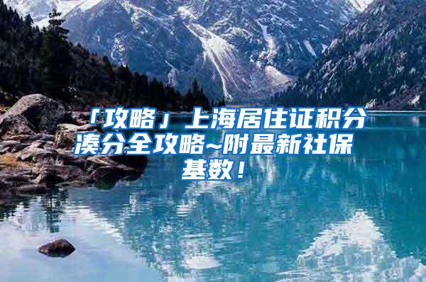 「攻略」上海居住证积分凑分全攻略~附最新社保基数！