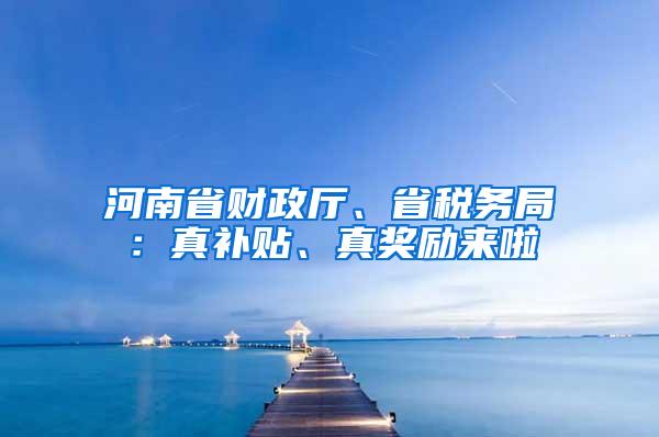 河南省财政厅、省税务局：真补贴、真奖励来啦