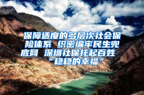 保障适度的多层次社会保险体系 织密编牢民生兜底网 深圳社保托起百姓“稳稳的幸福”