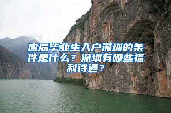 应届毕业生入户深圳的条件是什么？深圳有哪些福利待遇？