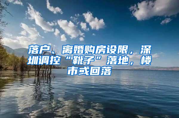 落户、离婚购房设限，深圳调控“靴子”落地，楼市或回落