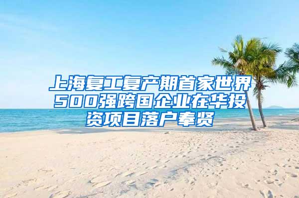 上海复工复产期首家世界500强跨国企业在华投资项目落户奉贤