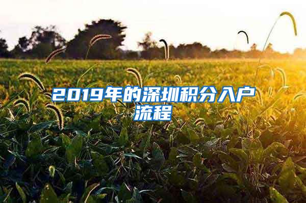 2019年的深圳积分入户流程