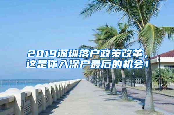 2019深圳落户政策改革，这是你入深户最后的机会！
