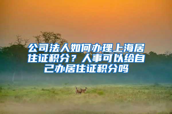 公司法人如何办理上海居住证积分？人事可以给自己办居住证积分吗