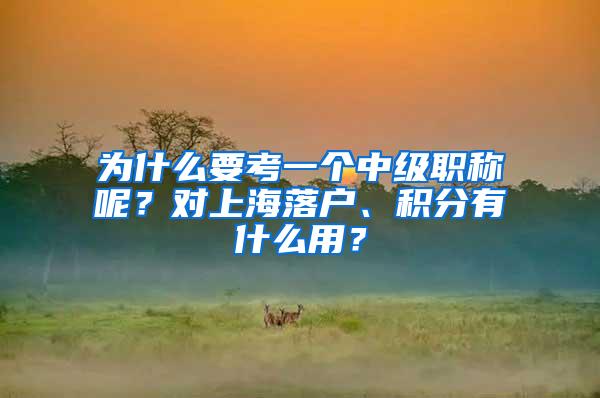 为什么要考一个中级职称呢？对上海落户、积分有什么用？