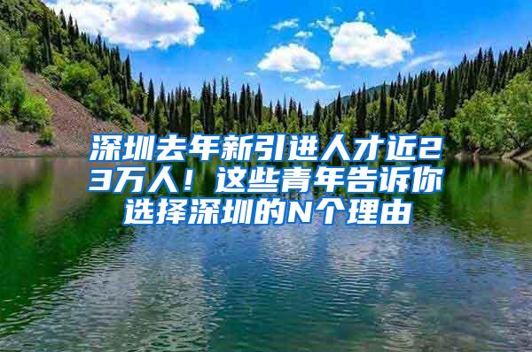 深圳去年新引进人才近23万人！这些青年告诉你选择深圳的N个理由