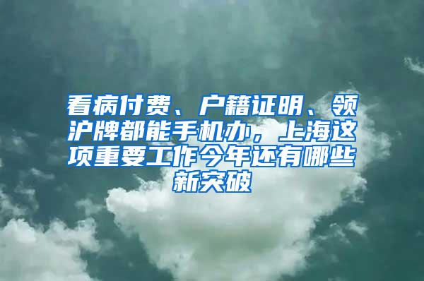 看病付费、户籍证明、领沪牌都能手机办，上海这项重要工作今年还有哪些新突破