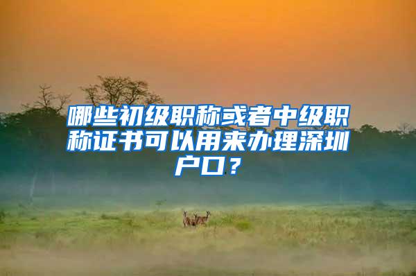 哪些初级职称或者中级职称证书可以用来办理深圳户口？