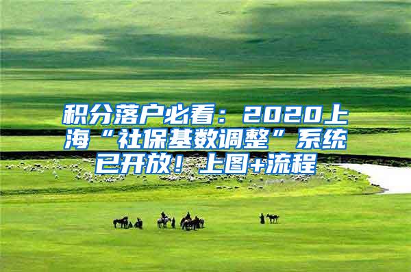 积分落户必看：2020上海“社保基数调整”系统已开放！上图+流程