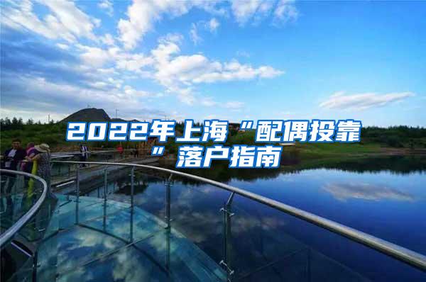 2022年上海“配偶投靠”落户指南