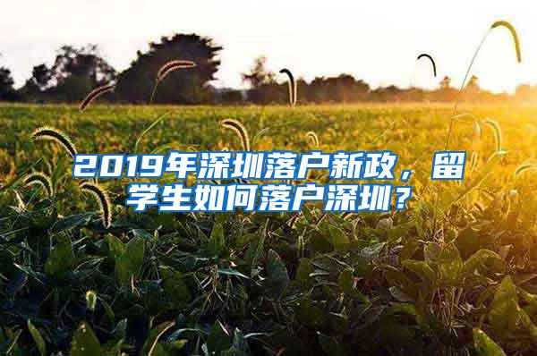 2019年深圳落户新政，留学生如何落户深圳？