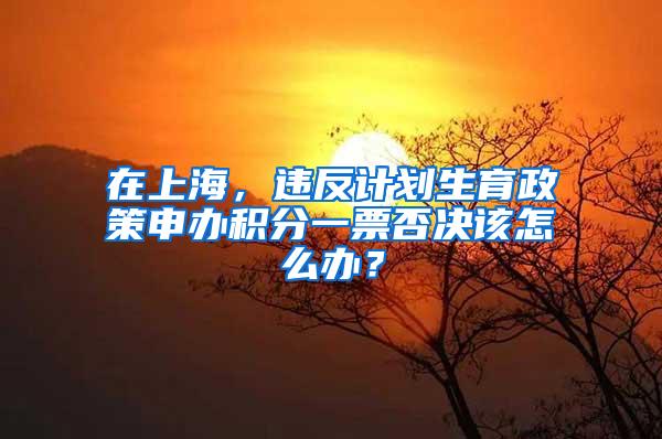 在上海，违反计划生育政策申办积分一票否决该怎么办？