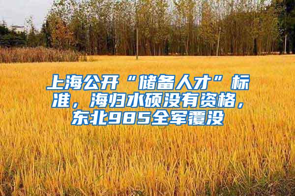 上海公开“储备人才”标准，海归水硕没有资格，东北985全军覆没