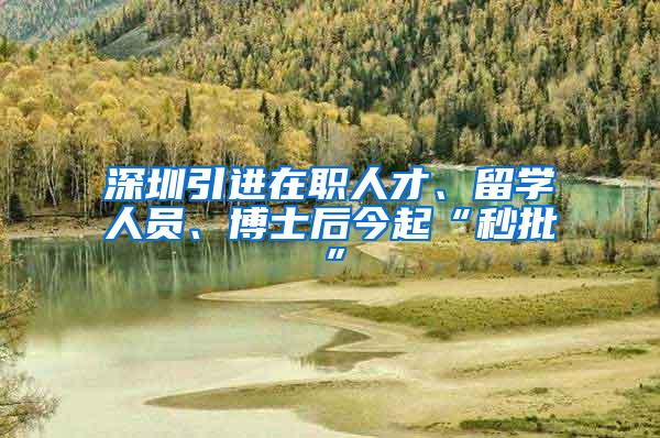 深圳引进在职人才、留学人员、博士后今起“秒批”