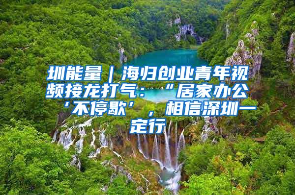 圳能量｜海归创业青年视频接龙打气：“居家办公‘不停歇’，相信深圳一定行