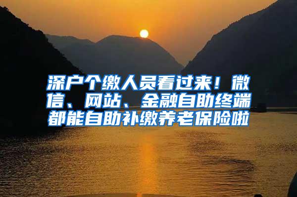 深户个缴人员看过来！微信、网站、金融自助终端都能自助补缴养老保险啦