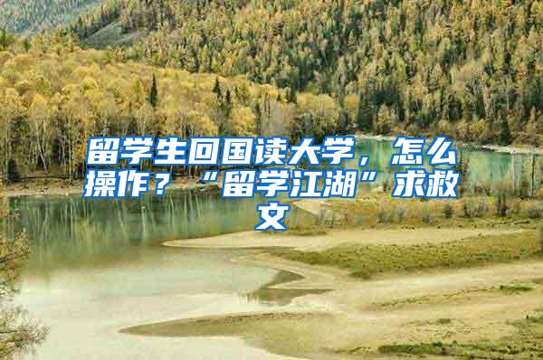 留学生回国读大学，怎么操作？“留学江湖”求救文