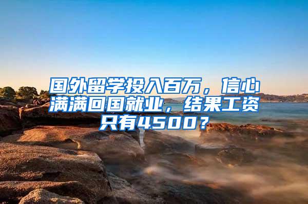 国外留学投入百万，信心满满回国就业，结果工资只有4500？