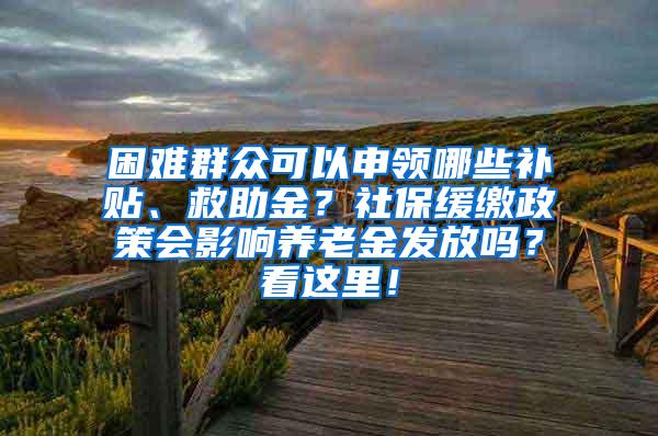 困难群众可以申领哪些补贴、救助金？社保缓缴政策会影响养老金发放吗？看这里！