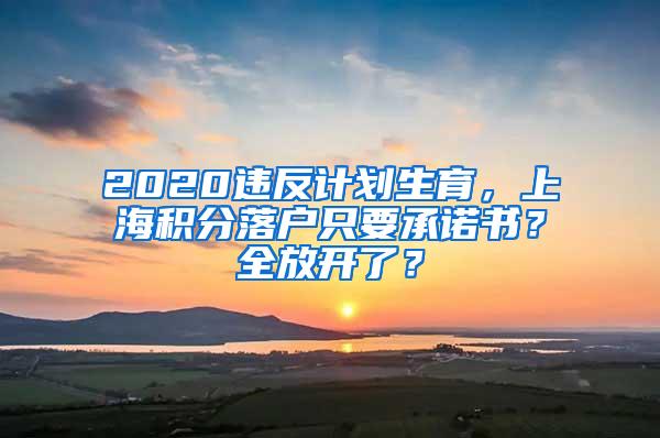 2020违反计划生育，上海积分落户只要承诺书？全放开了？