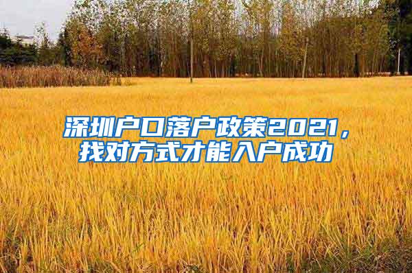 深圳户口落户政策2021，找对方式才能入户成功