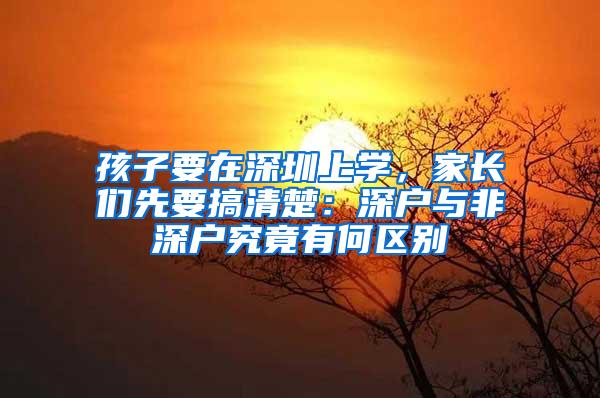 孩子要在深圳上学，家长们先要搞清楚：深户与非深户究竟有何区别