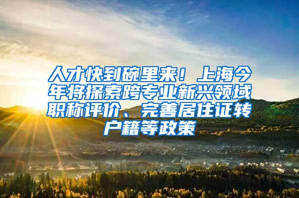 人才快到碗里来！上海今年将探索跨专业新兴领域职称评价、完善居住证转户籍等政策