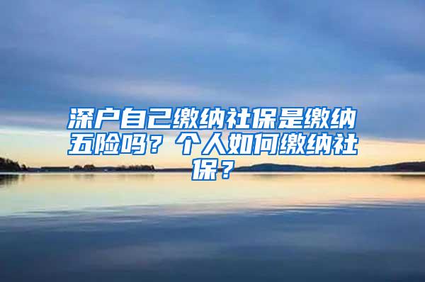 深户自己缴纳社保是缴纳五险吗？个人如何缴纳社保？