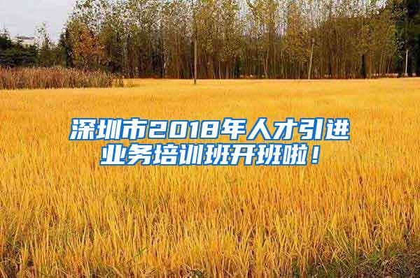 深圳市2018年人才引进业务培训班开班啦！