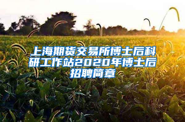 上海期货交易所博士后科研工作站2020年博士后招聘简章