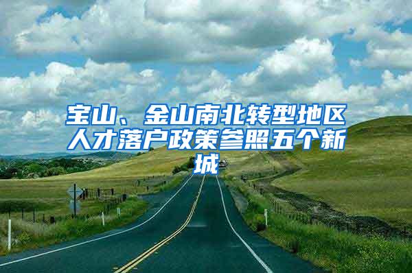 宝山、金山南北转型地区人才落户政策参照五个新城