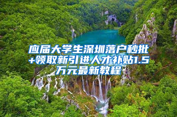 应届大学生深圳落户秒批+领取新引进人才补贴1.5万元最新教程