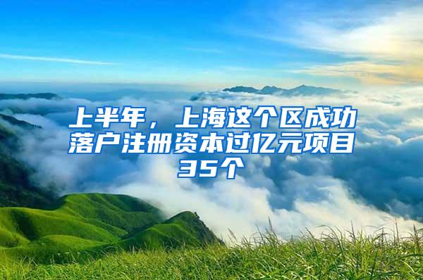 上半年，上海这个区成功落户注册资本过亿元项目35个