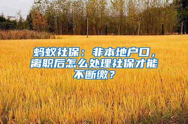 蚂蚁社保：非本地户口，离职后怎么处理社保才能不断缴？