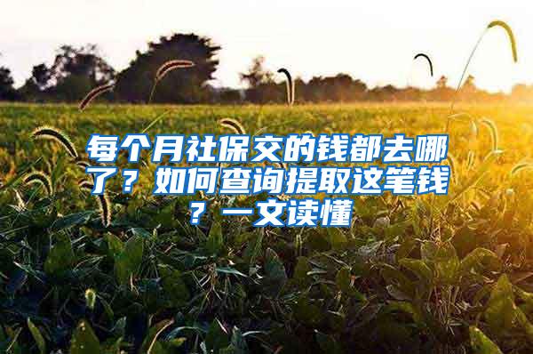 每个月社保交的钱都去哪了？如何查询提取这笔钱？一文读懂