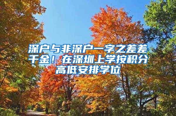 深户与非深户一字之差差千金！在深圳上学按积分高低安排学位