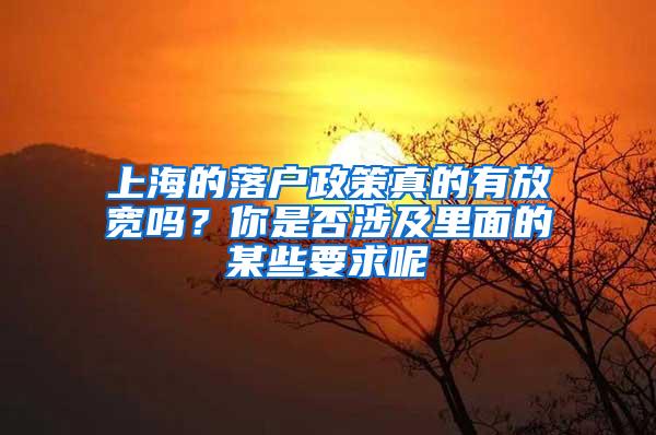 上海的落户政策真的有放宽吗？你是否涉及里面的某些要求呢