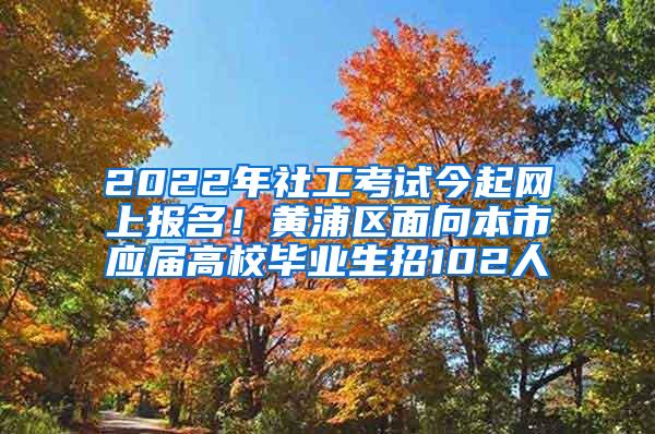 2022年社工考试今起网上报名！黄浦区面向本市应届高校毕业生招102人