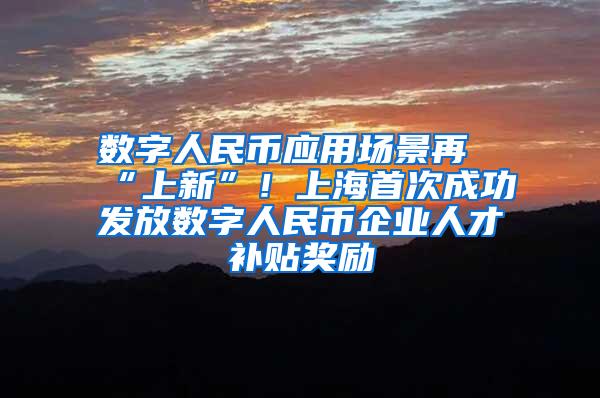 数字人民币应用场景再“上新”！上海首次成功发放数字人民币企业人才补贴奖励