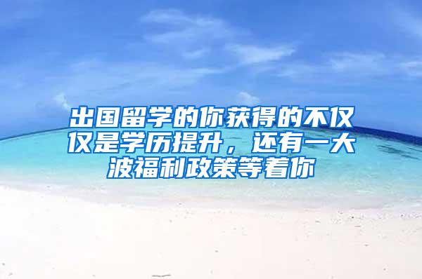 出国留学的你获得的不仅仅是学历提升，还有一大波福利政策等着你